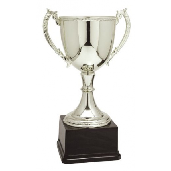 Metal Silver Cup