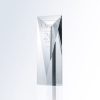 Goldwell Crystal Tower Award