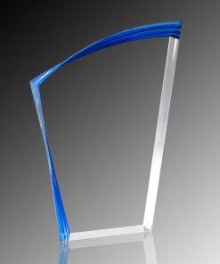 Vertex Acrylic Award