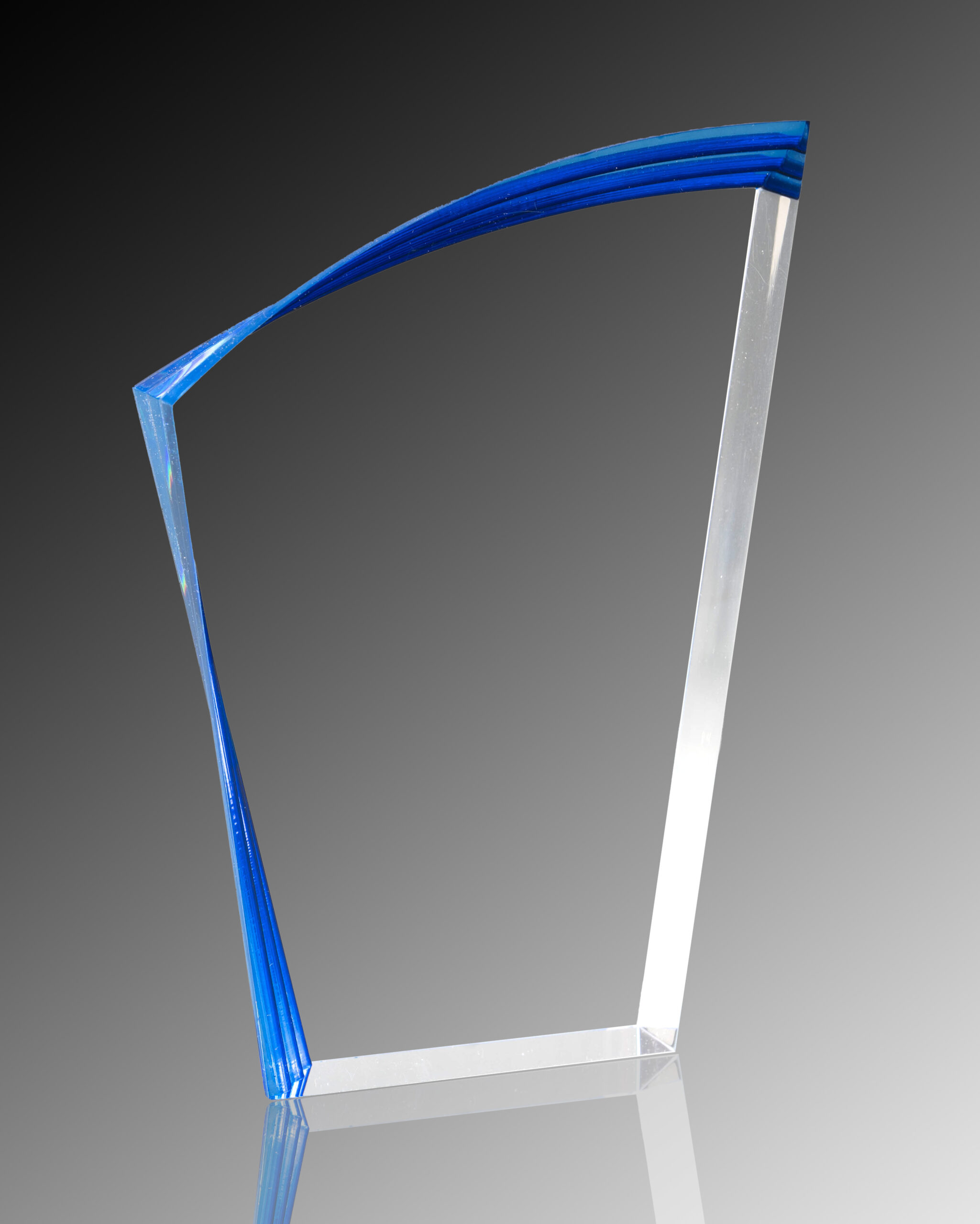 Vertex Acrylic Award