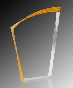 Vertex Acrylic Award