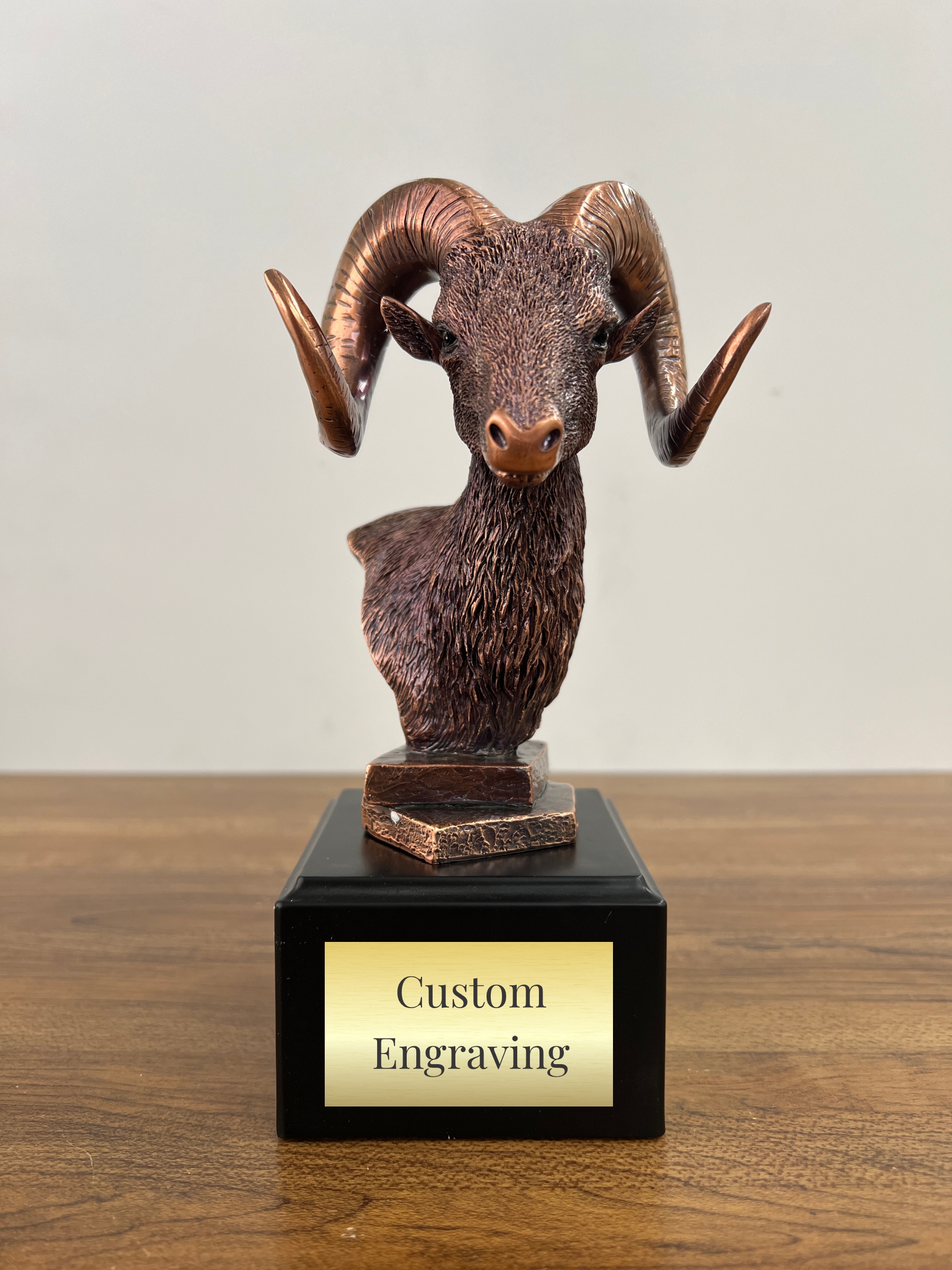 Ram head trophy