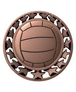 Volleyball Star medal bronze