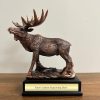 moose-trophy