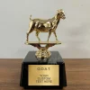 GOAT Trophy