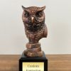 owl trophy