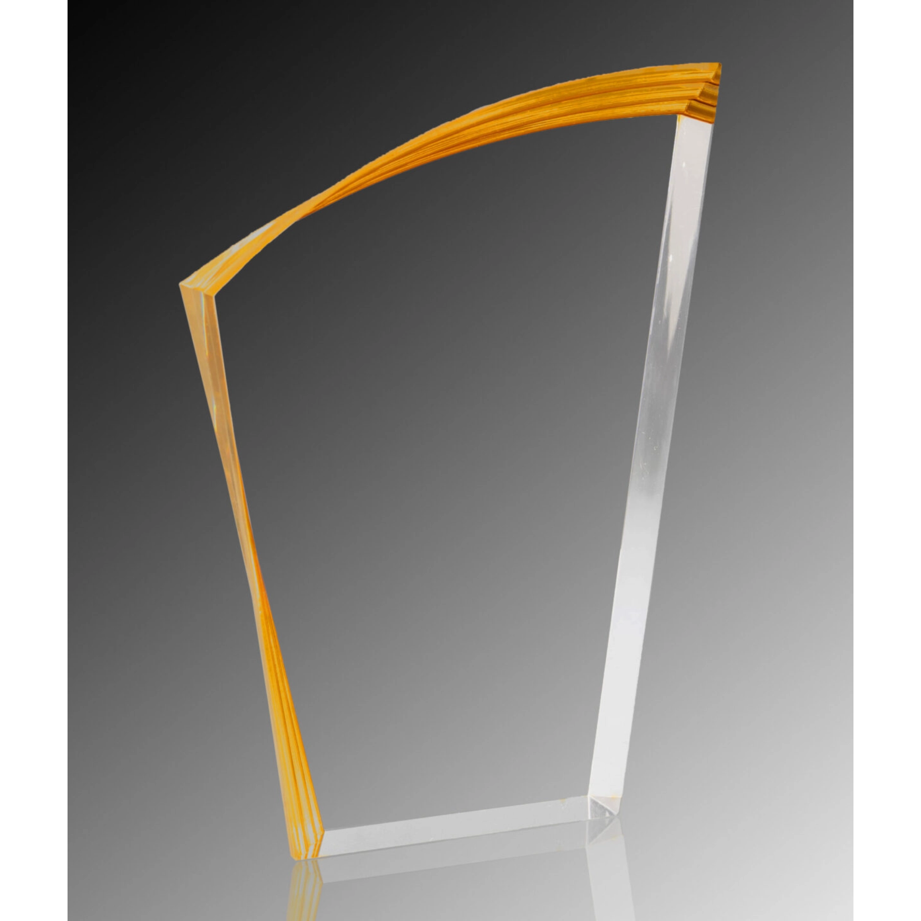 Vertex Acrylic Award