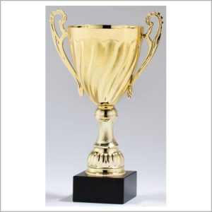 Gold Cup Trophy on Black Marble