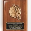 Fireman Serve and Protect Plaque