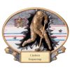 Color Hockey Oval Plaque