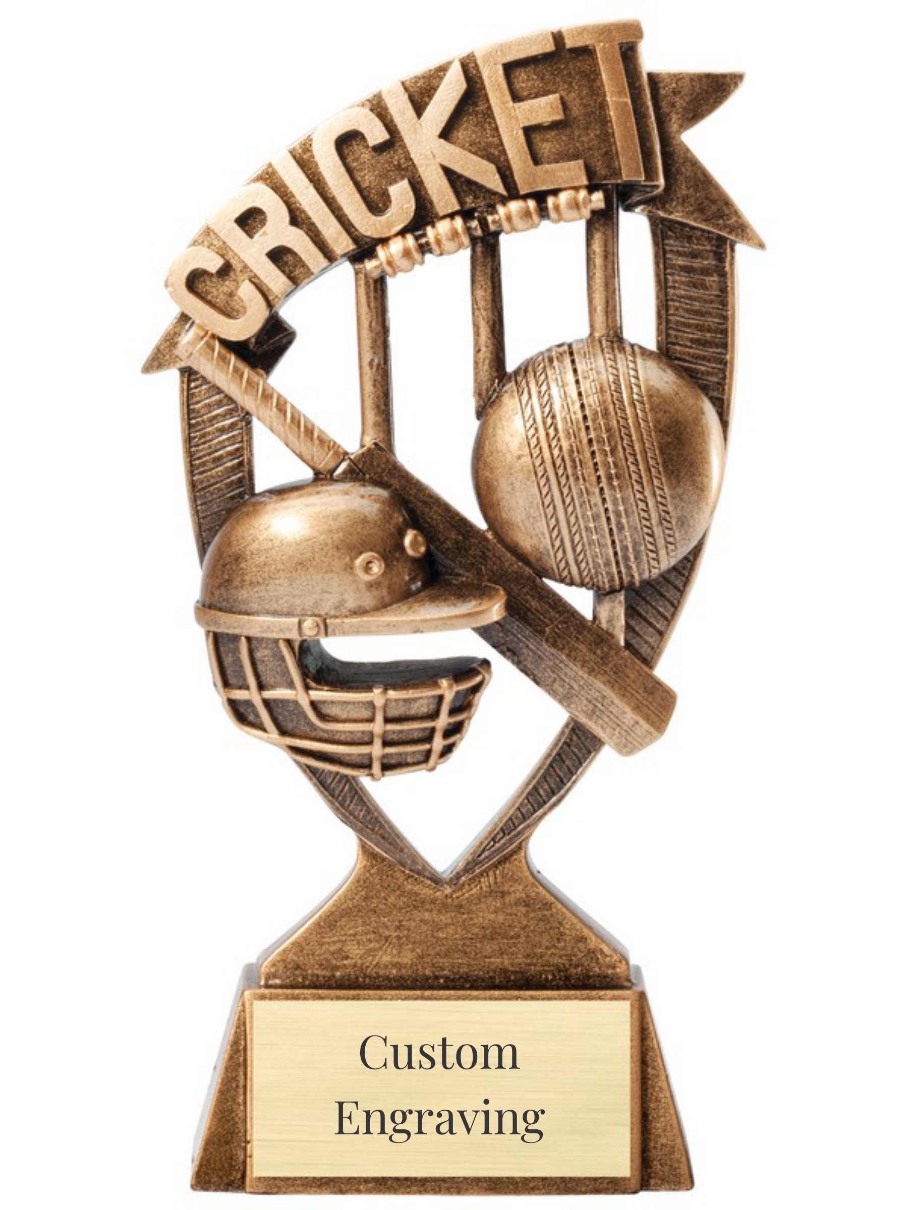 Cricket Banner Resin Trophy