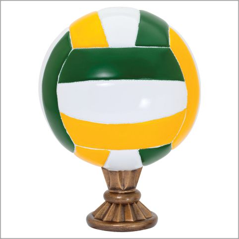 Color Volleyball Champions Trophy