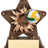 Starburst Resin Volleyball Trophy