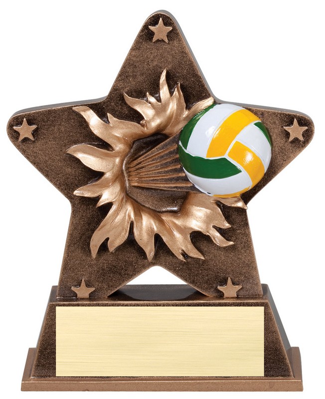 Starburst Resin Volleyball Trophy