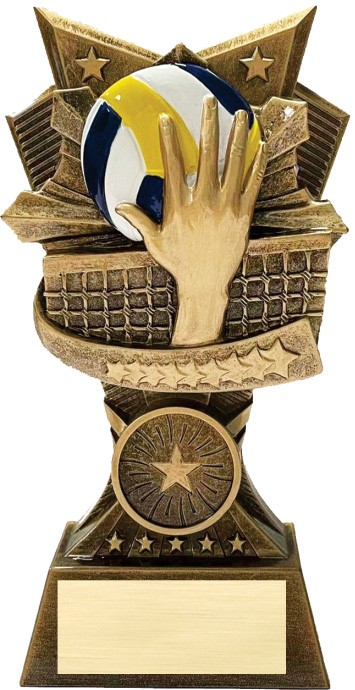 3D Resin Volleyball Trophy