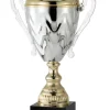 Royal Trophy Cup