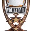 Four Stars Volleyball Trophy