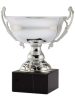 Washington Trophy Cup