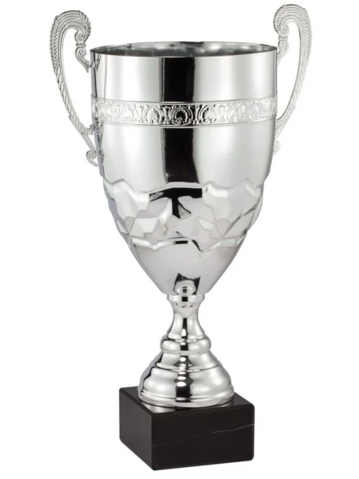 Cyrus Trophy Cup