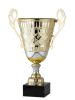 Diamond Trophy Cup