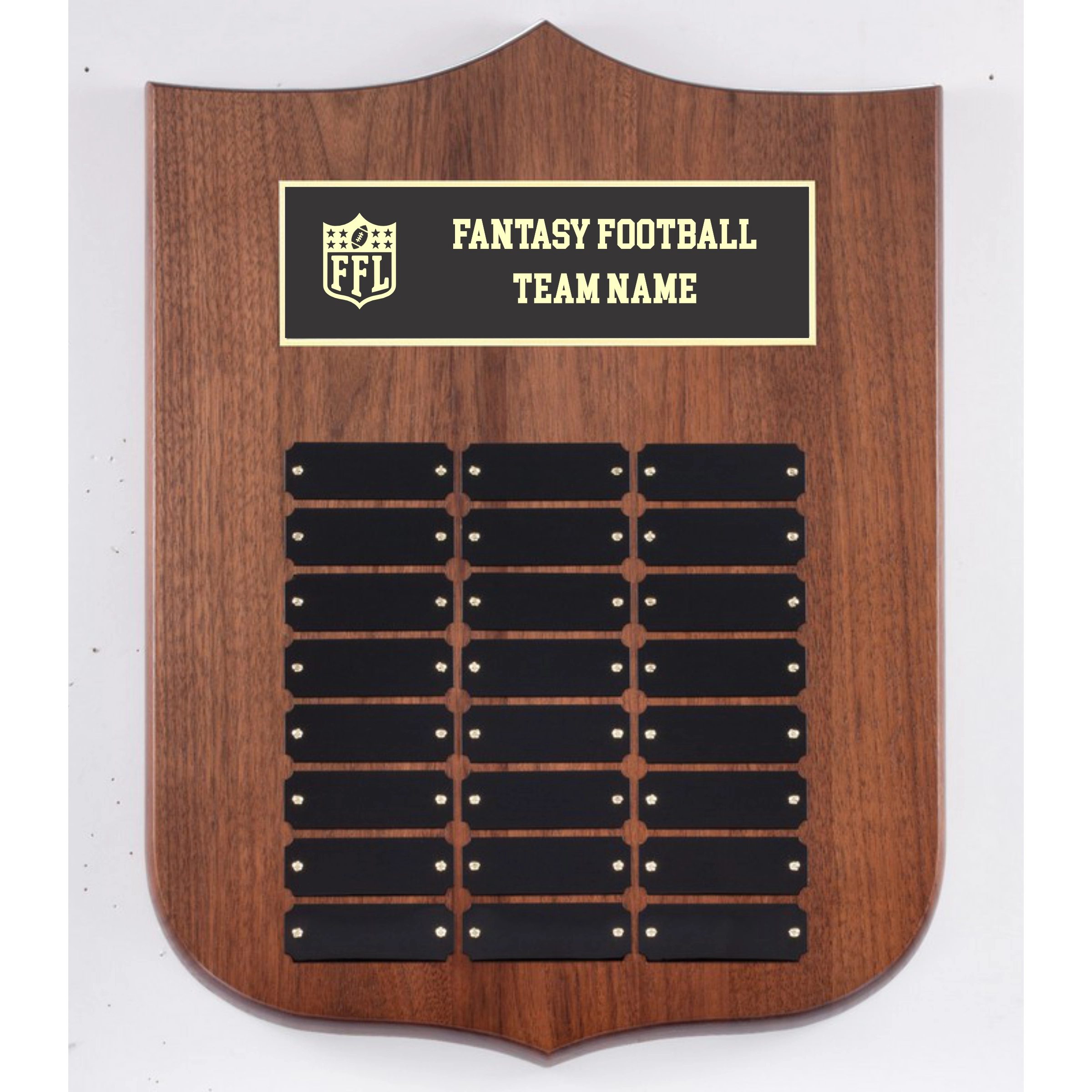 Fantasy Football Perpetual Plaque