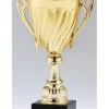 Gold Cup Trophy on Black Marble