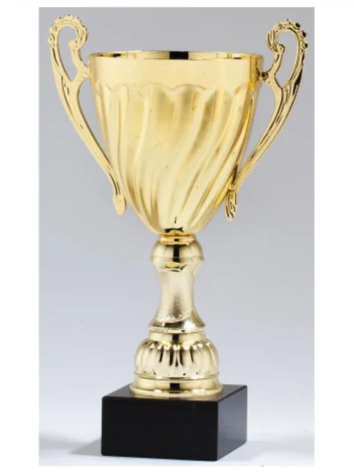 Gold Cup Trophy on Black Marble