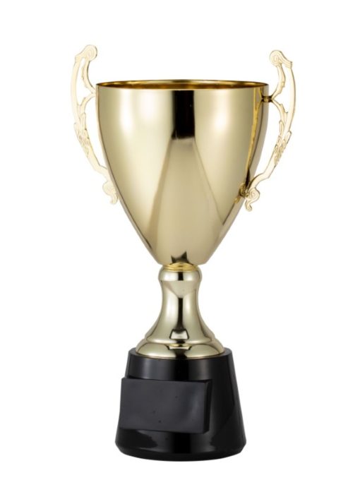 Gold Trophy Cup