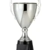 Silver Trophy Cup