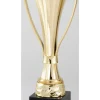 Gold Vino Trophy Cup