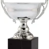 Washington Trophy Cup