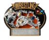 Color Wrestling Oval Plaque