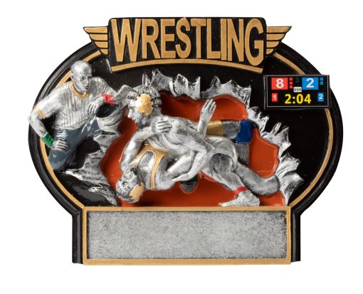 Color Wrestling Oval Plaque