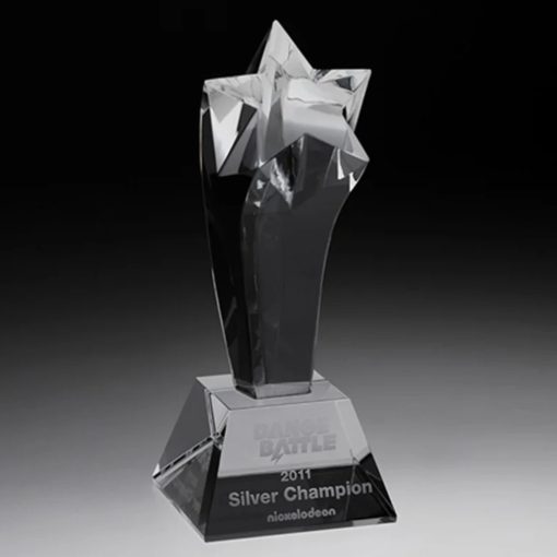 Crystal Power Star Award