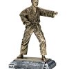 Karate Resin Trophy