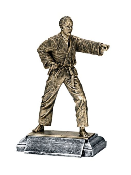 Karate Resin Trophy