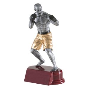 Resin MMA Trophy