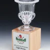 Glass Trophy Cup