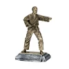 Karate Resin Trophy