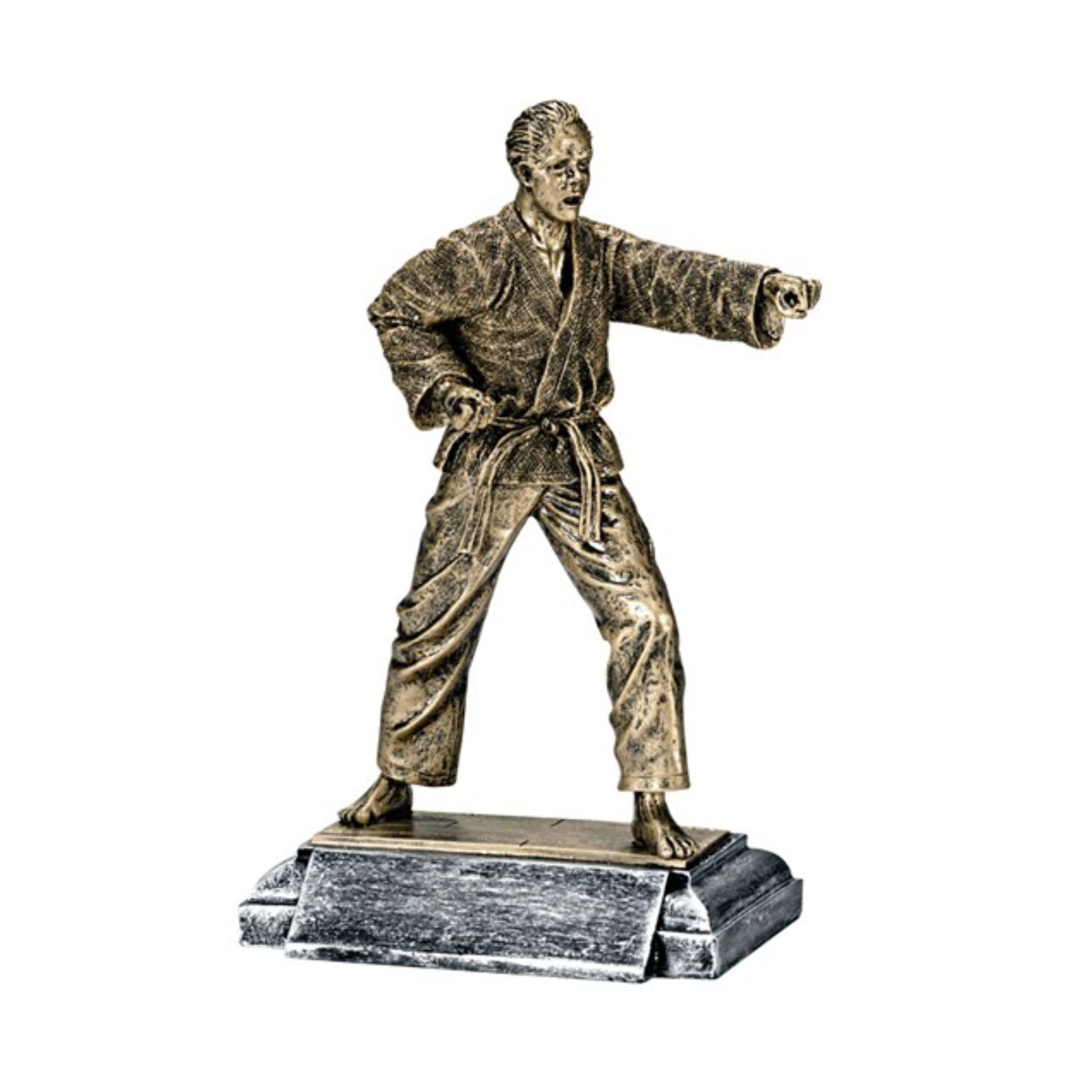 Karate Resin Trophy