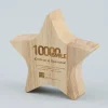 Wood Star Paperweight