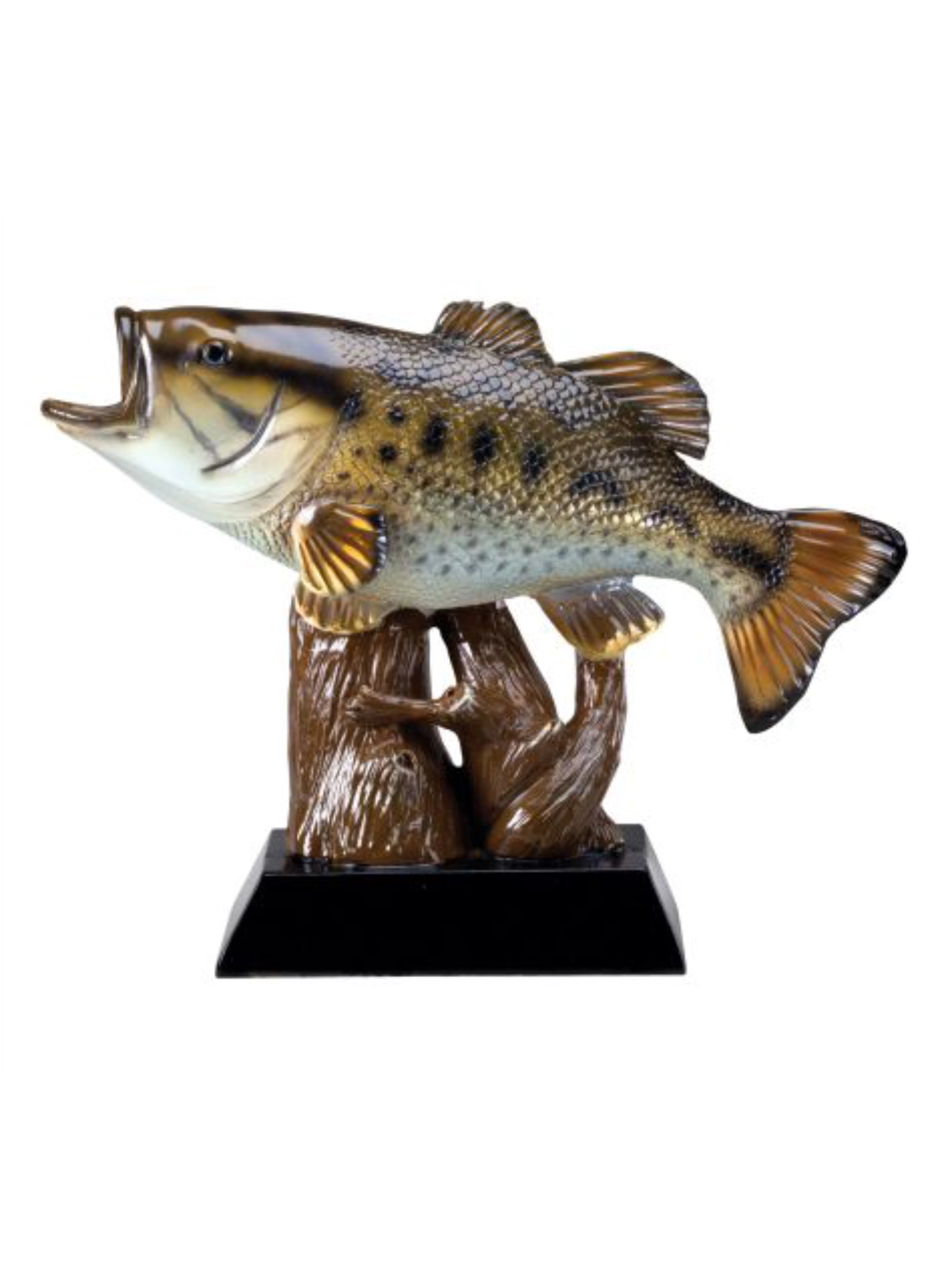 Color Bass Fishing Trophy