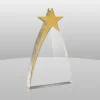 New Gold Star Award