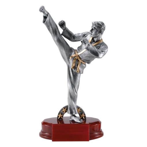 Male Karate Kick Trophy