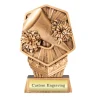 Nova Cheer Trophy